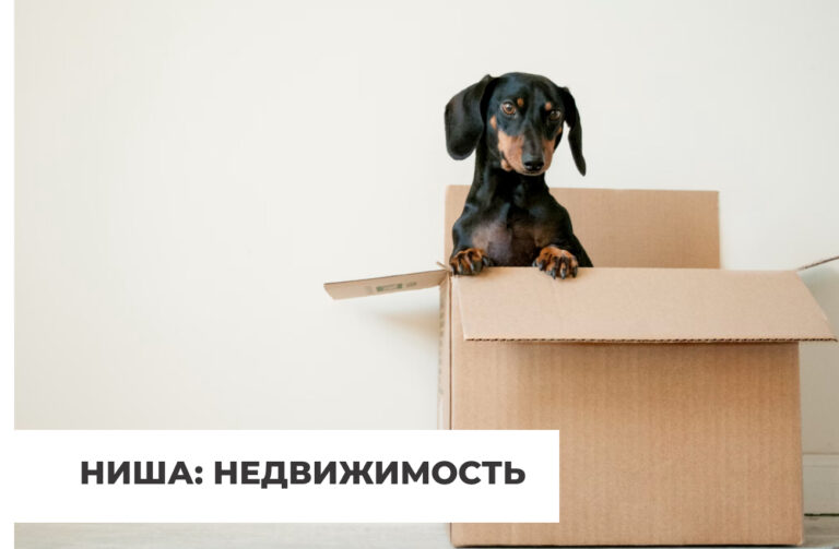 Продвижение застройщика
